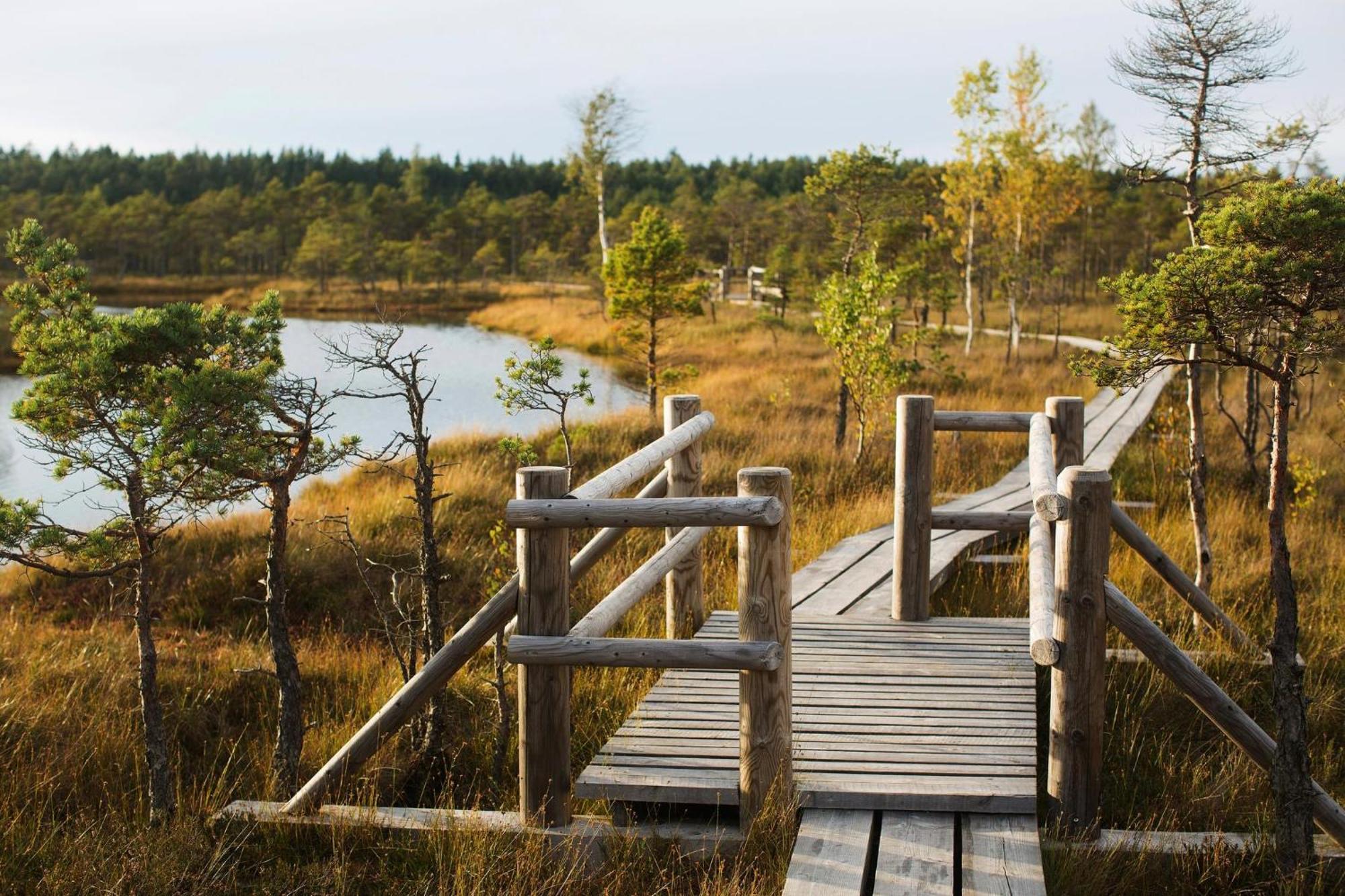 Apartment Near Baltic Sea 2 Jūrkalne 외부 사진